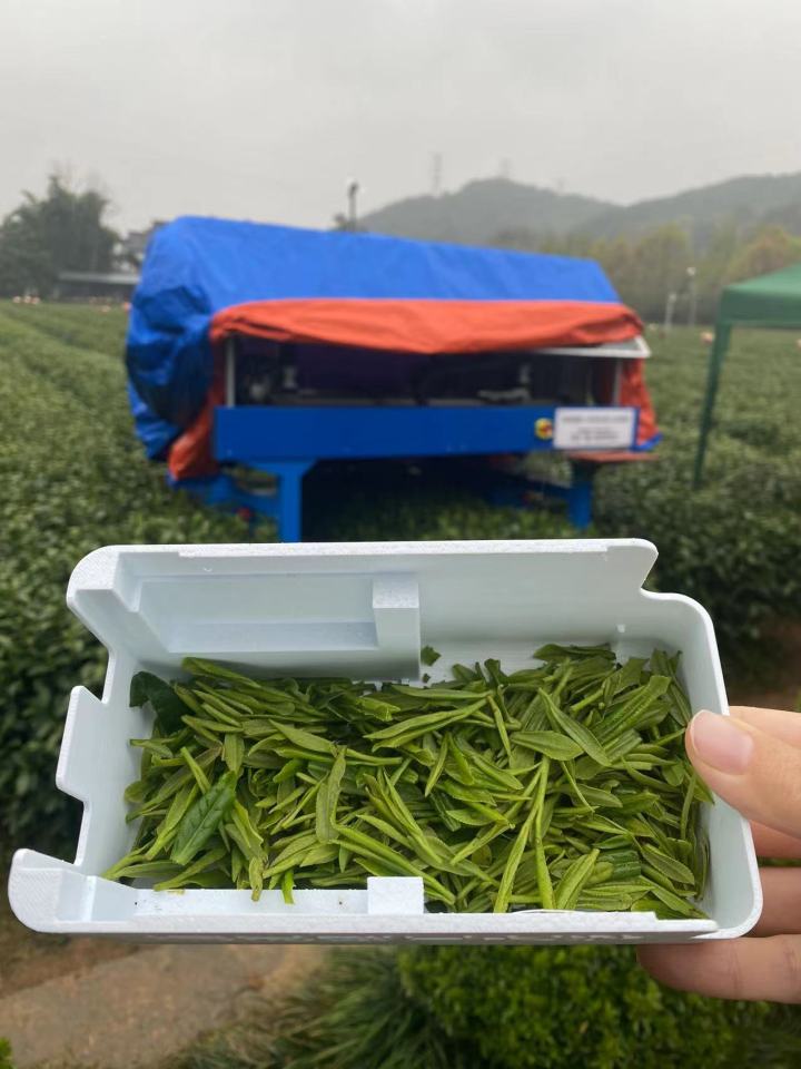 微信图片_20230323174411.jpg 微信图片_20230323174411.jpg