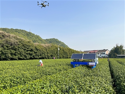 df4c272eb2296a69f036738f9e533bcd.jpg mmexport1680600024347_b.jpg